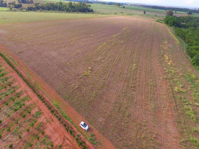 #38 - Chácara para Venda em Leme - SP