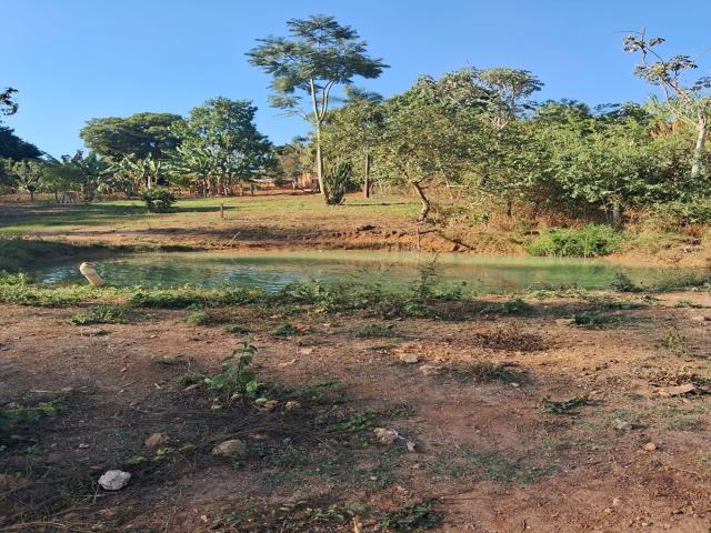 #77 - Chácara para Venda em Leme - SP