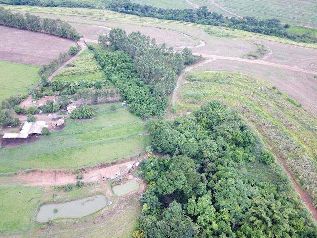 #87 - Chácara para Venda em Leme - SP