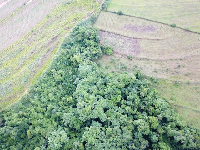 #87 - Chácara para Venda em Leme - SP