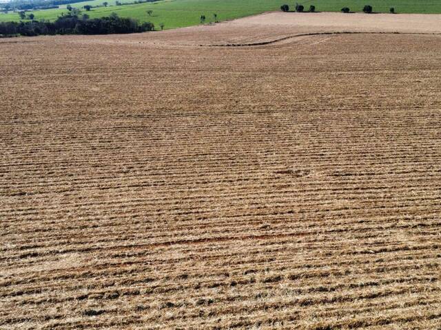 #117 - Chácara para Venda em Leme - SP