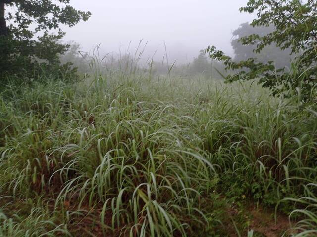 #134 - Chácara para Venda em Leme - SP